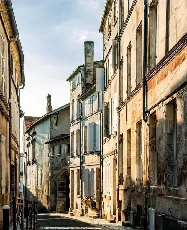 Le Cordon Bleu # Vieux-Cognac # Jardin Apartment Ngoại thất bức ảnh